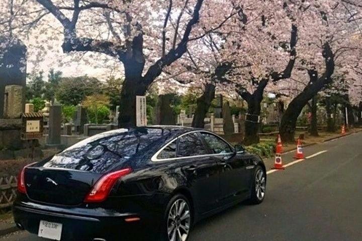 英語の話せる専属運転手付き東京観光ツアー（1グループ/4人）